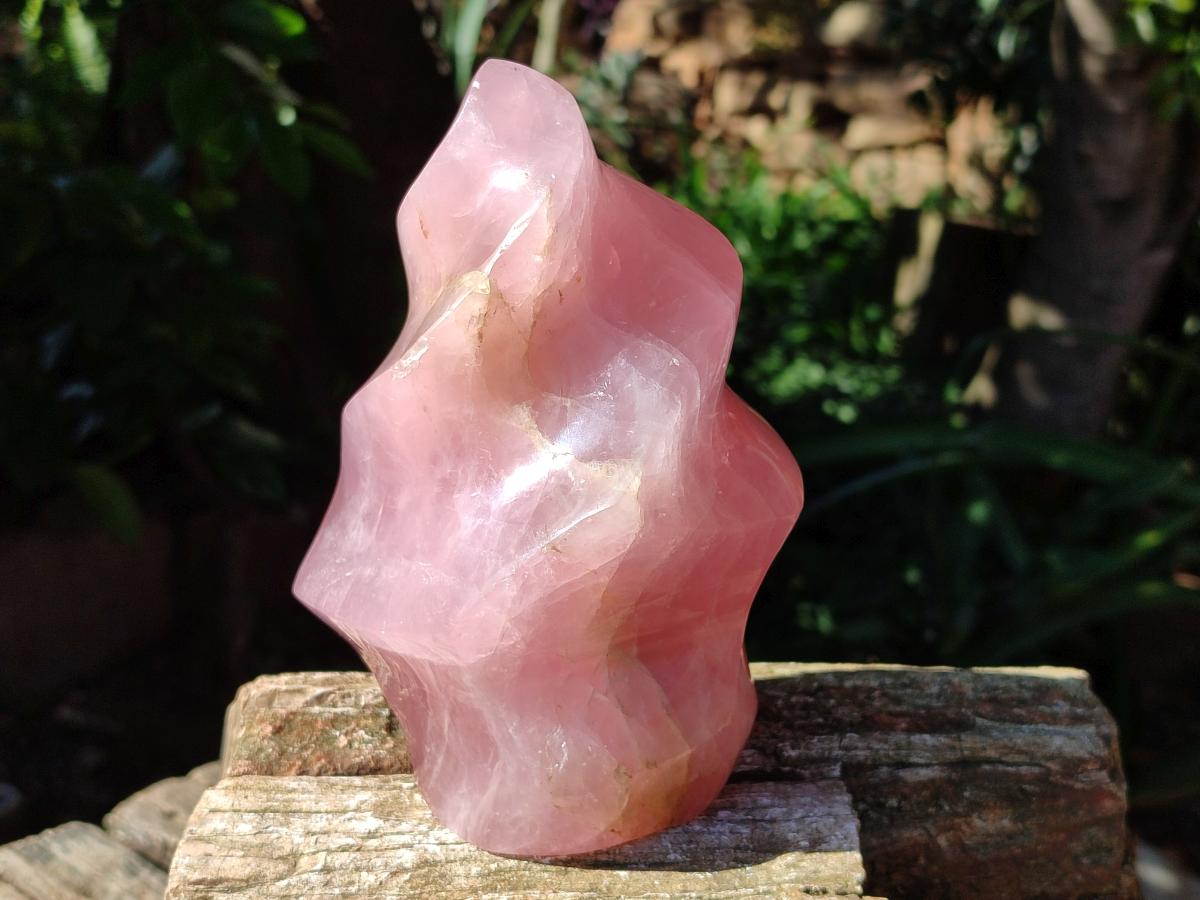 Polished Gemmy Rose Quartz Flame x 1 From Madagascar