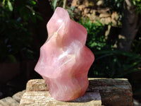 Polished Gemmy Rose Quartz Flame x 1 From Madagascar