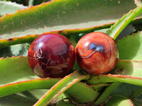 Polished Carnelian Agate Gemstone Spheres x 12 From Madagascar