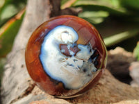 Polished Carnelian Agate Gemstone Spheres x 12 From Madagascar
