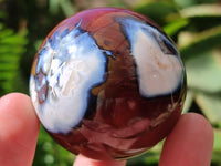 Polished Carnelian Agate Gemstone Spheres x 12 From Madagascar