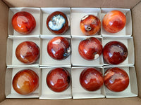 Polished Carnelian Agate Gemstone Spheres x 12 From Madagascar
