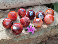 Polished Carnelian Agate Gemstone Spheres x 12 From Madagascar