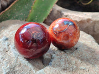 Polished Carnelian Agate Gemstone Spheres x 12 From Madagascar