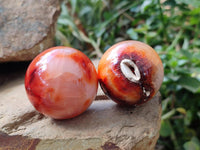 Polished Carnelian Agate Gemstone Spheres x 12 From Madagascar