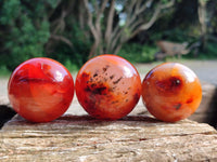 Polished Carnelian Agate Gemstone Spheres x 12 From Madagascar