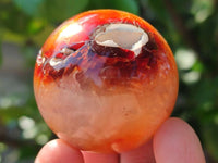 Polished Carnelian Agate Gemstone Spheres x 12 From Madagascar