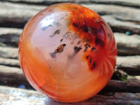 Polished Carnelian Agate Gemstone Spheres x 12 From Madagascar