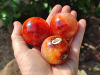 Polished Carnelian Agate Gemstone Spheres x 12 From Madagascar
