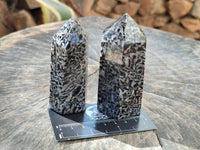 Polished Black Zebra Tourmaline Display Crystals x 12 From Madagascar