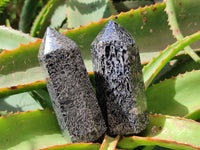 Polished Black Zebra Tourmaline Display Crystals x 12 From Madagascar