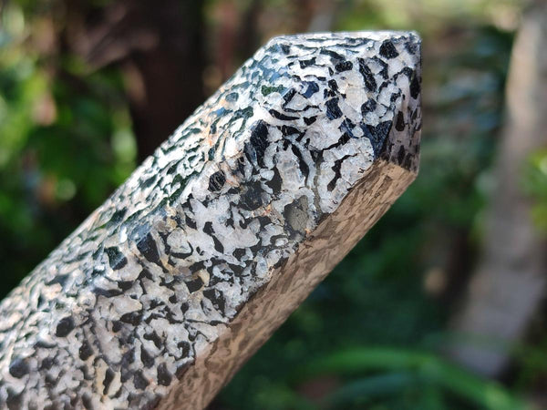 Polished Black Zebra Tourmaline Display Crystals x 12 From Madagascar