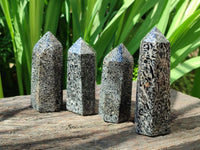 Polished Black Zebra Tourmaline Display Crystals x 12 From Madagascar