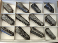 Polished Black Zebra Tourmaline Display Crystals x 12 From Madagascar