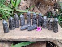 Polished Black Zebra Tourmaline Display Crystals x 12 From Madagascar