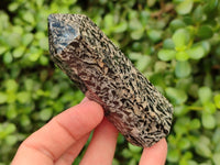 Polished Black Zebra Tourmaline Display Crystals x 12 From Madagascar