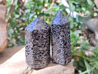 Polished Black Zebra Tourmaline Display Crystals x 12 From Madagascar