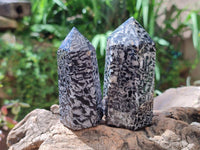 Polished Black Zebra Tourmaline Display Crystals x 12 From Madagascar