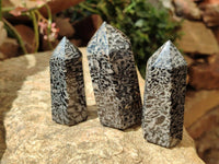 Polished Black Zebra Tourmaline Display Crystals x 12 From Madagascar