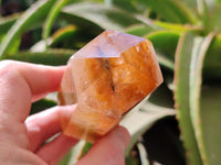 Polished Golden Healer Quartz Crystals x 4 From Ambatofinandrahana, Madagascar