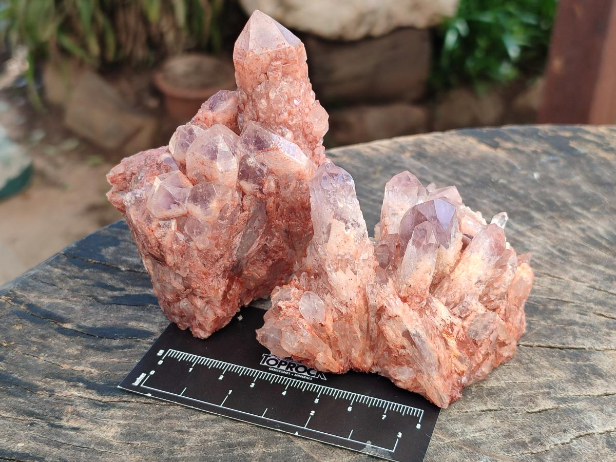 Natural Sugar Amethyst Clusters x 6 From Zambia