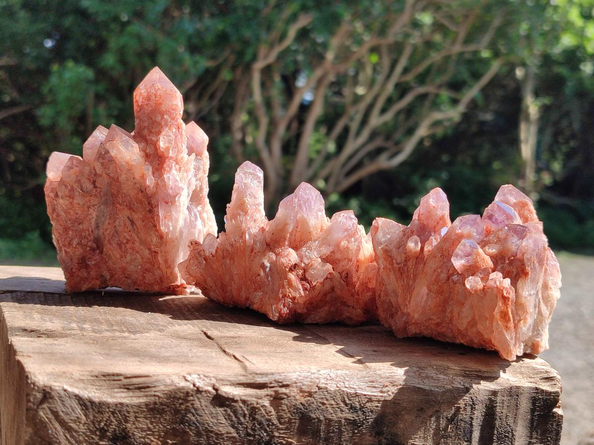 Natural Sugar Amethyst Clusters x 6 From Zambia