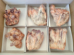 Natural Sugar Amethyst Clusters x 6 From Zambia