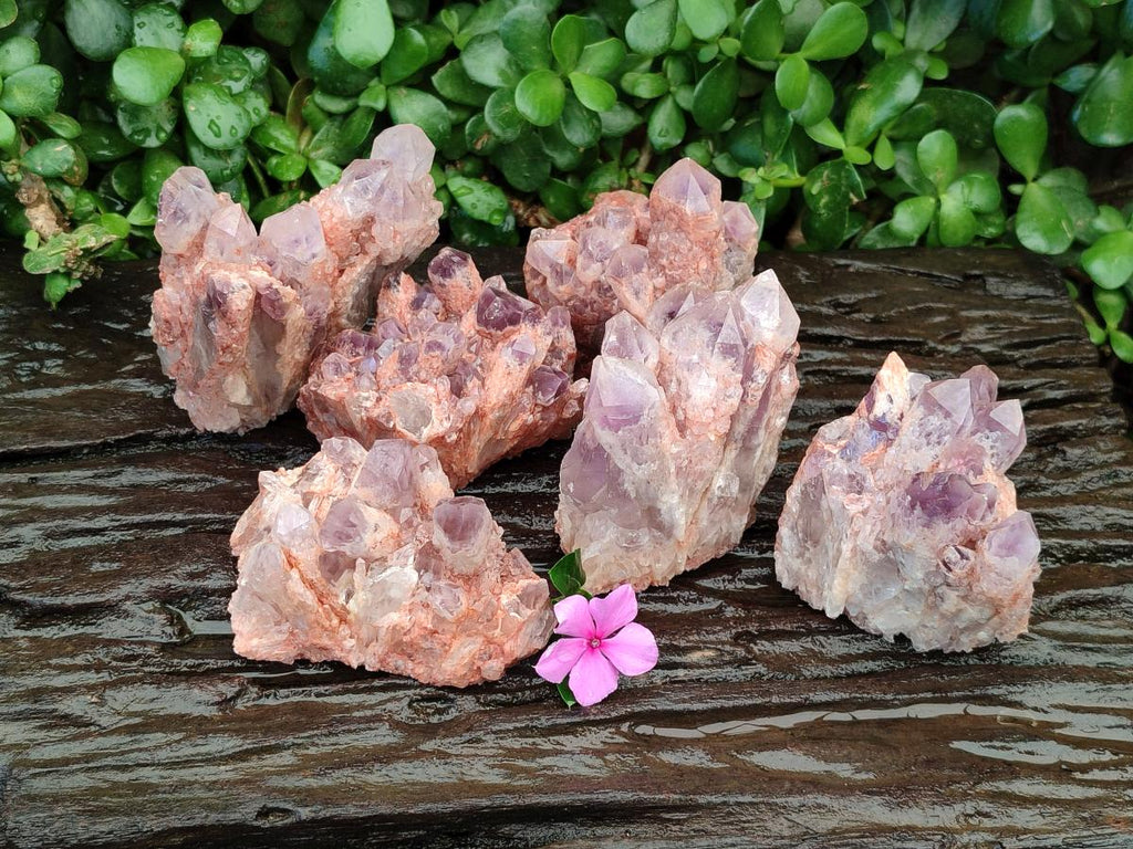 Natural Sugar Amethyst Clusters x 6 From Zambia