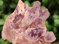 Natural Sugar Amethyst Clusters x 6 From Zambia