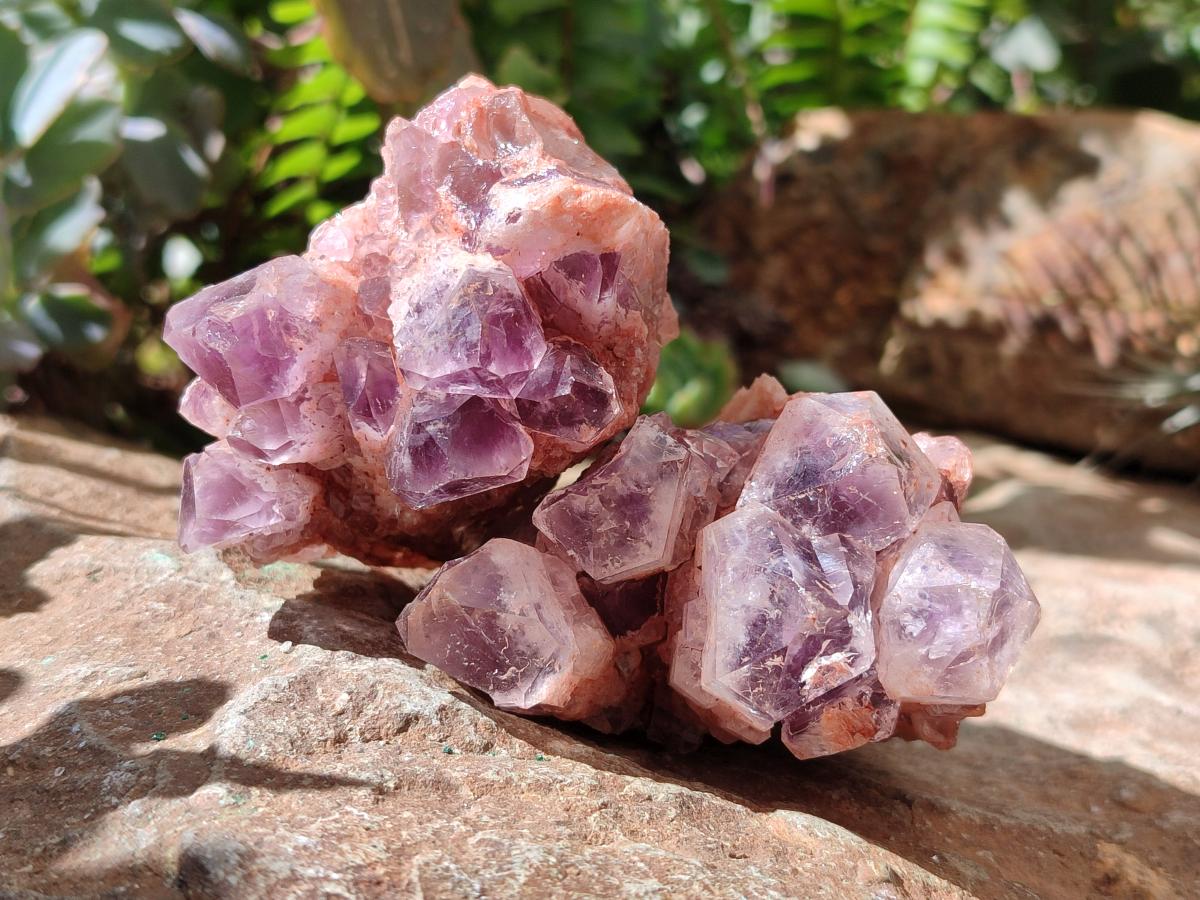 Natural Sugar Amethyst Clusters x 6 From Zambia