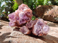 Natural Sugar Amethyst Clusters x 6 From Zambia