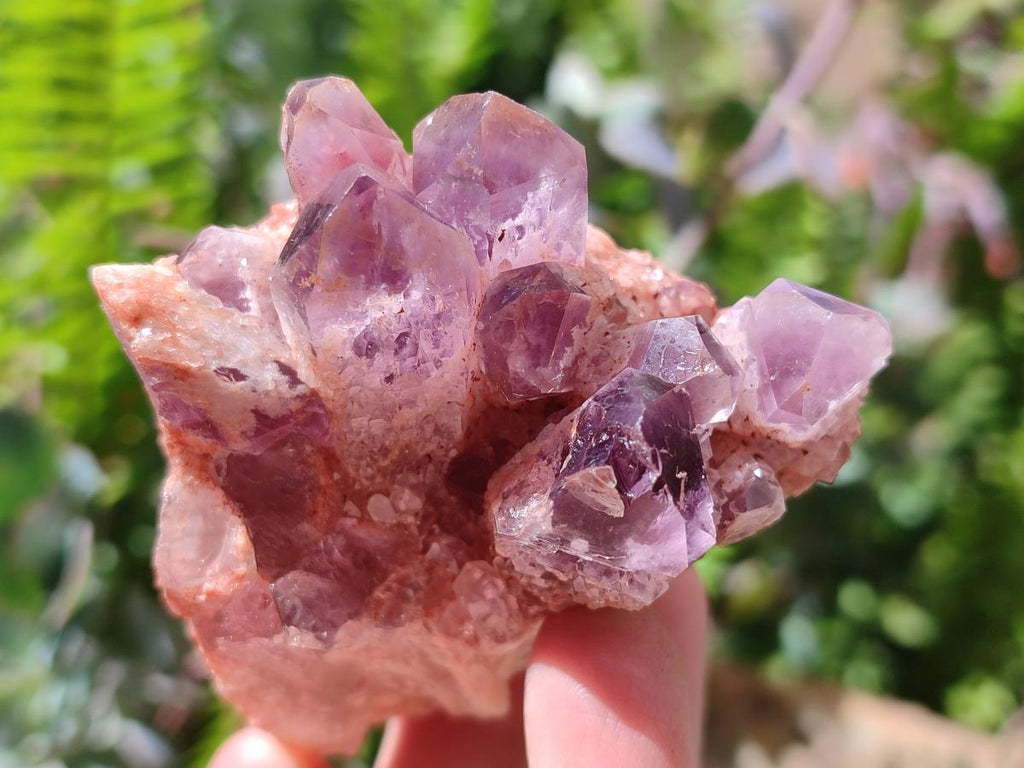 Natural Sugar Amethyst Clusters x 6 From Zambia