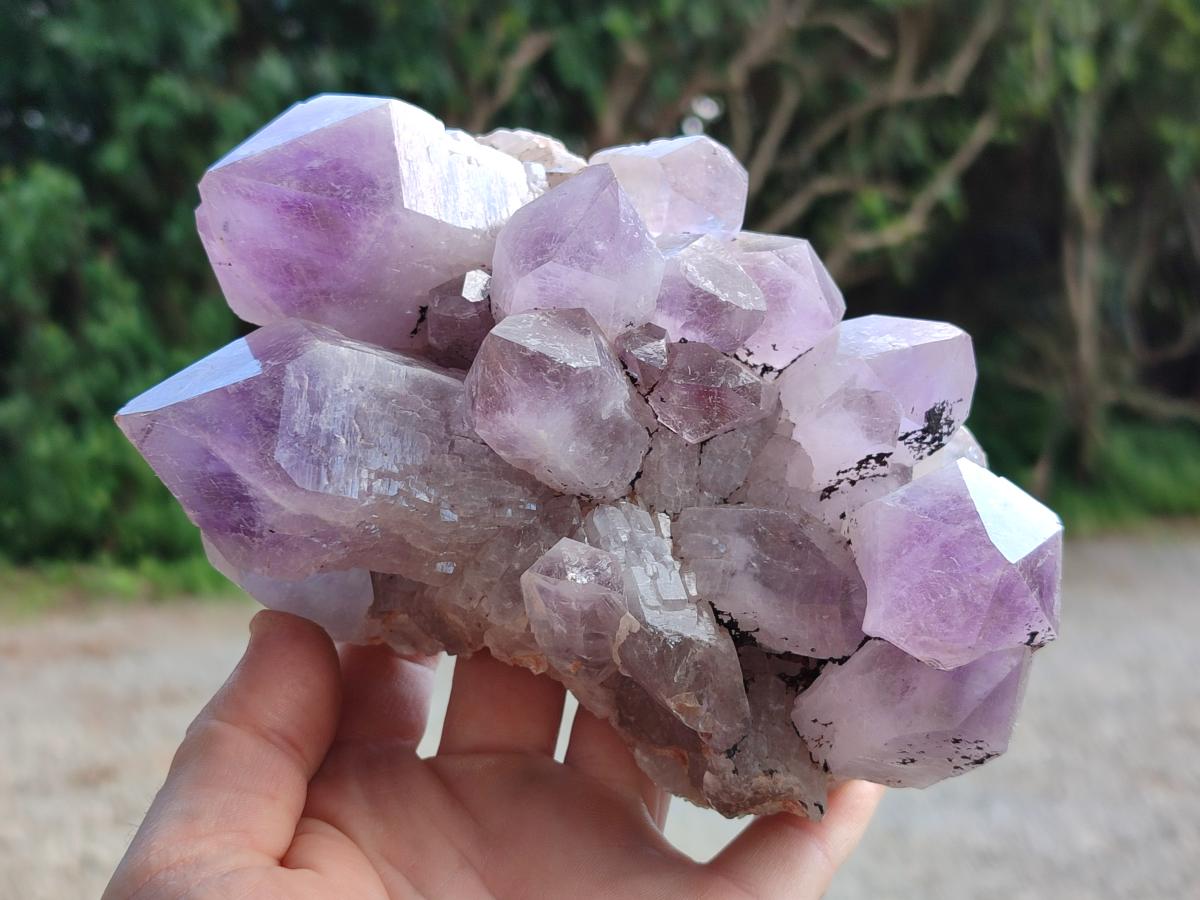 Natural Jacaranda Amethyst Crystal Clusters x 2 From Mumbwa, Zambia