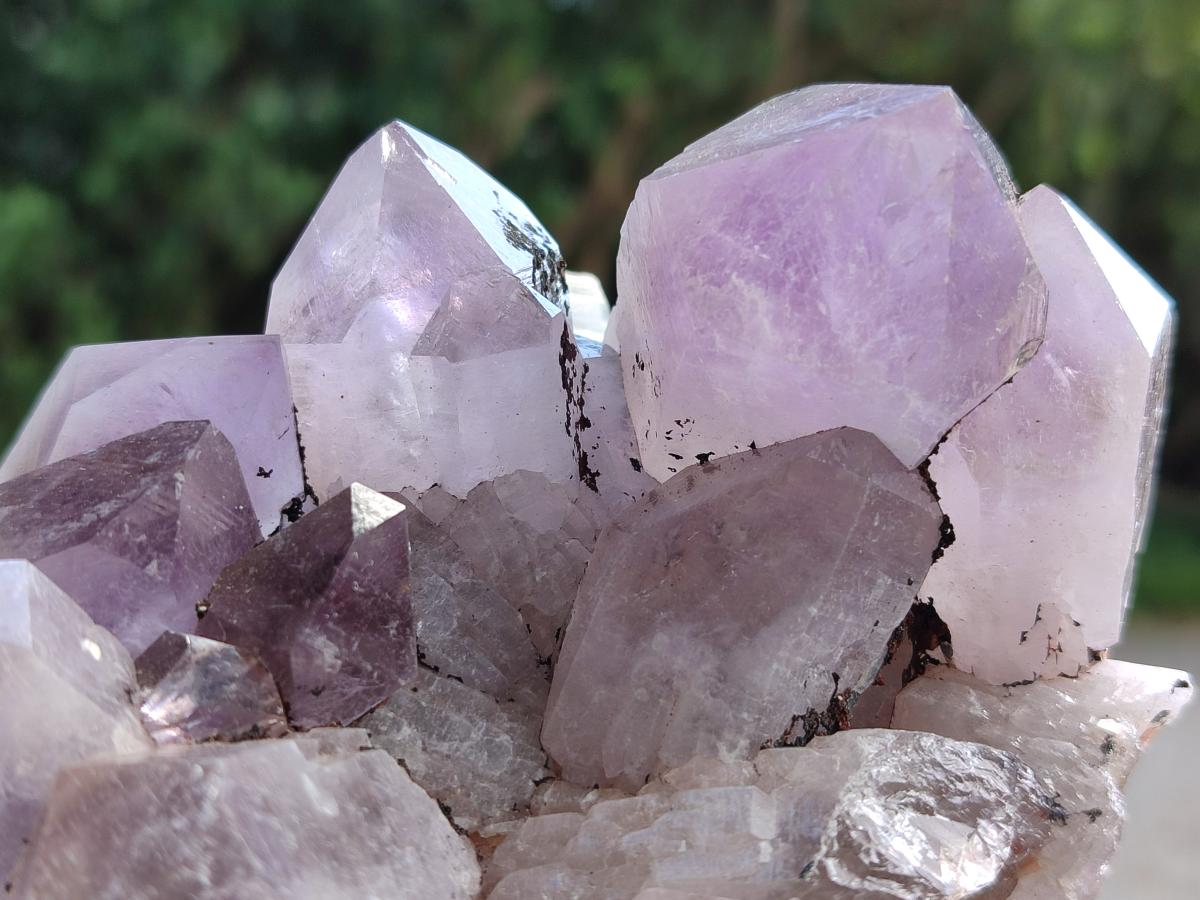 Natural Jacaranda Amethyst Crystal Clusters x 2 From Mumbwa, Zambia