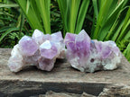 Natural Jacaranda Amethyst Crystal Clusters x 2 From Mumbwa, Zambia