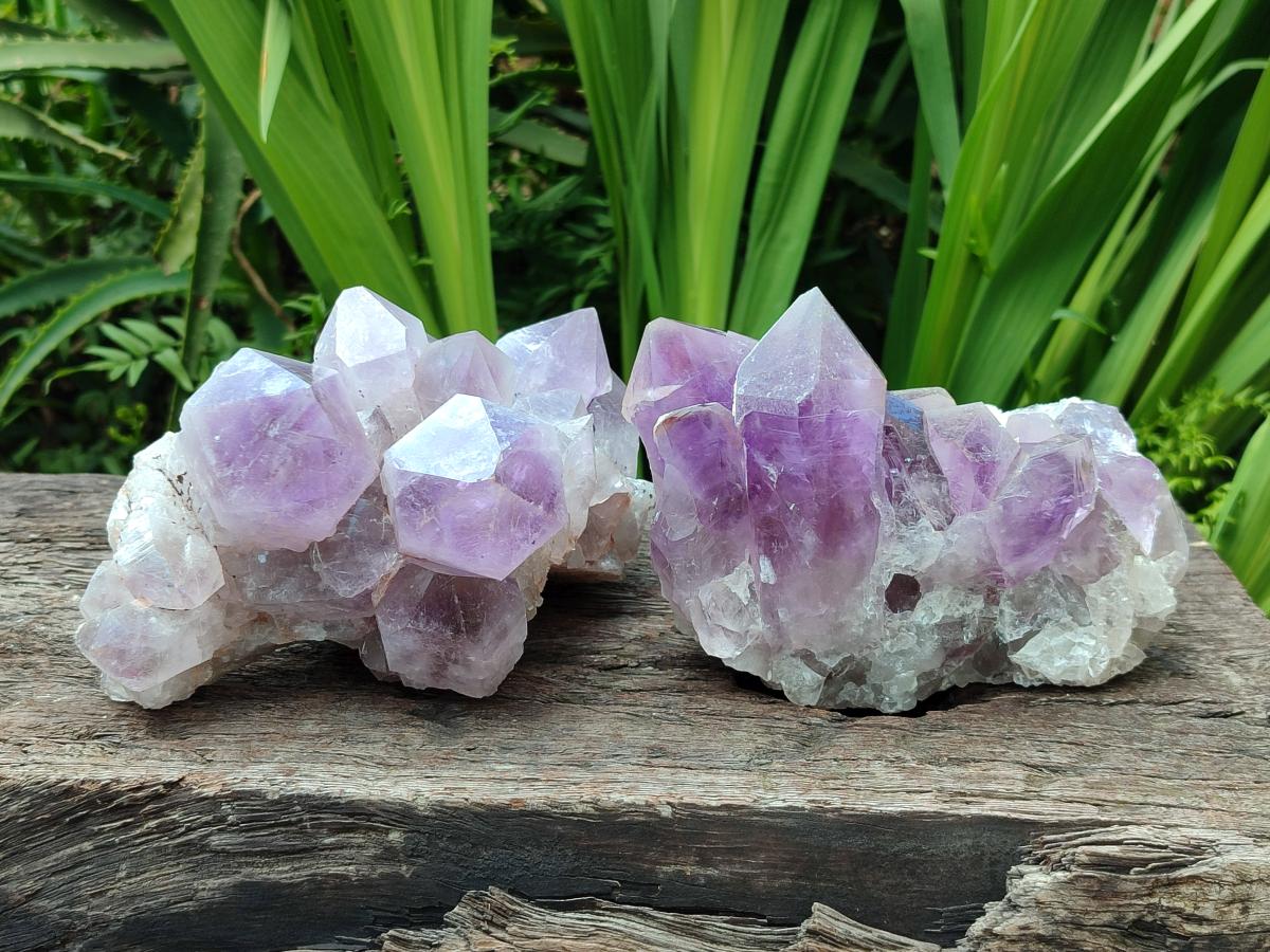 Natural Jacaranda Amethyst Crystal Clusters x 2 From Mumbwa, Zambia