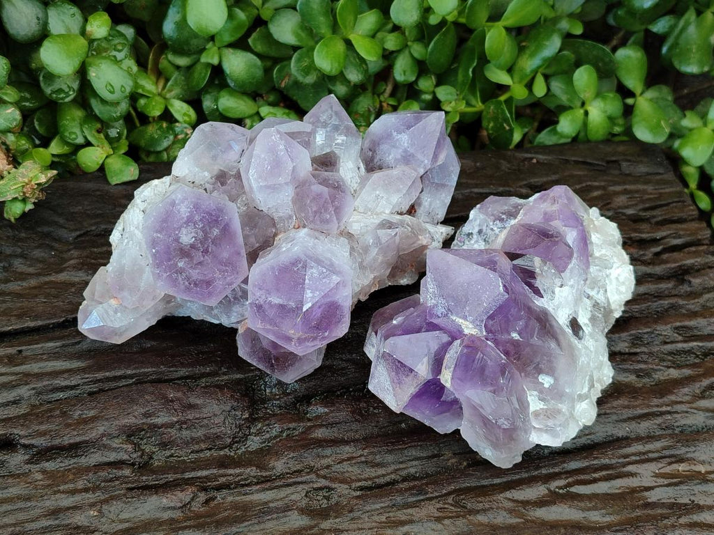 Natural Jacaranda Amethyst Crystal Clusters x 2 From Mumbwa, Zambia