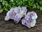 Natural Jacaranda Amethyst Crystal Clusters x 2 From Mumbwa, Zambia