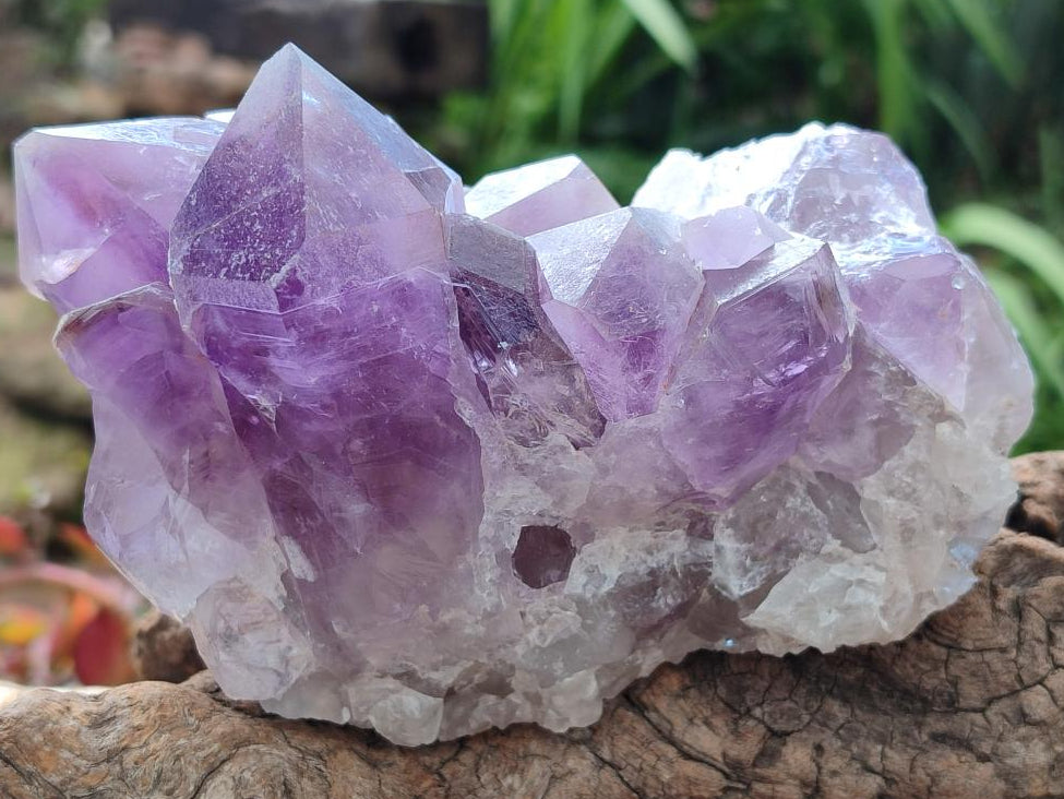 Natural Jacaranda Amethyst Crystal Clusters x 2 From Mumbwa, Zambia