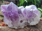 Natural Jacaranda Amethyst Crystal Clusters x 2 From Mumbwa, Zambia