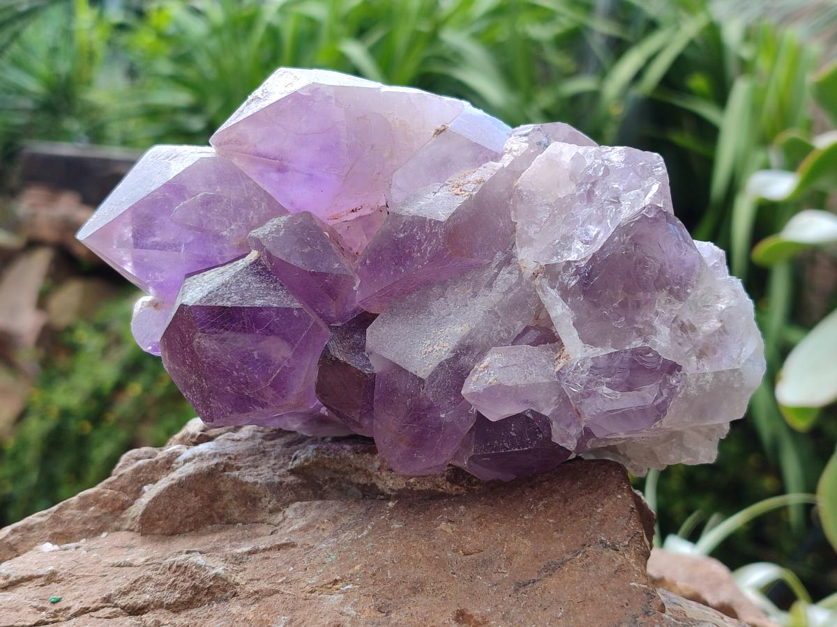 Natural Jacaranda Amethyst Crystal Clusters x 2 From Mumbwa, Zambia