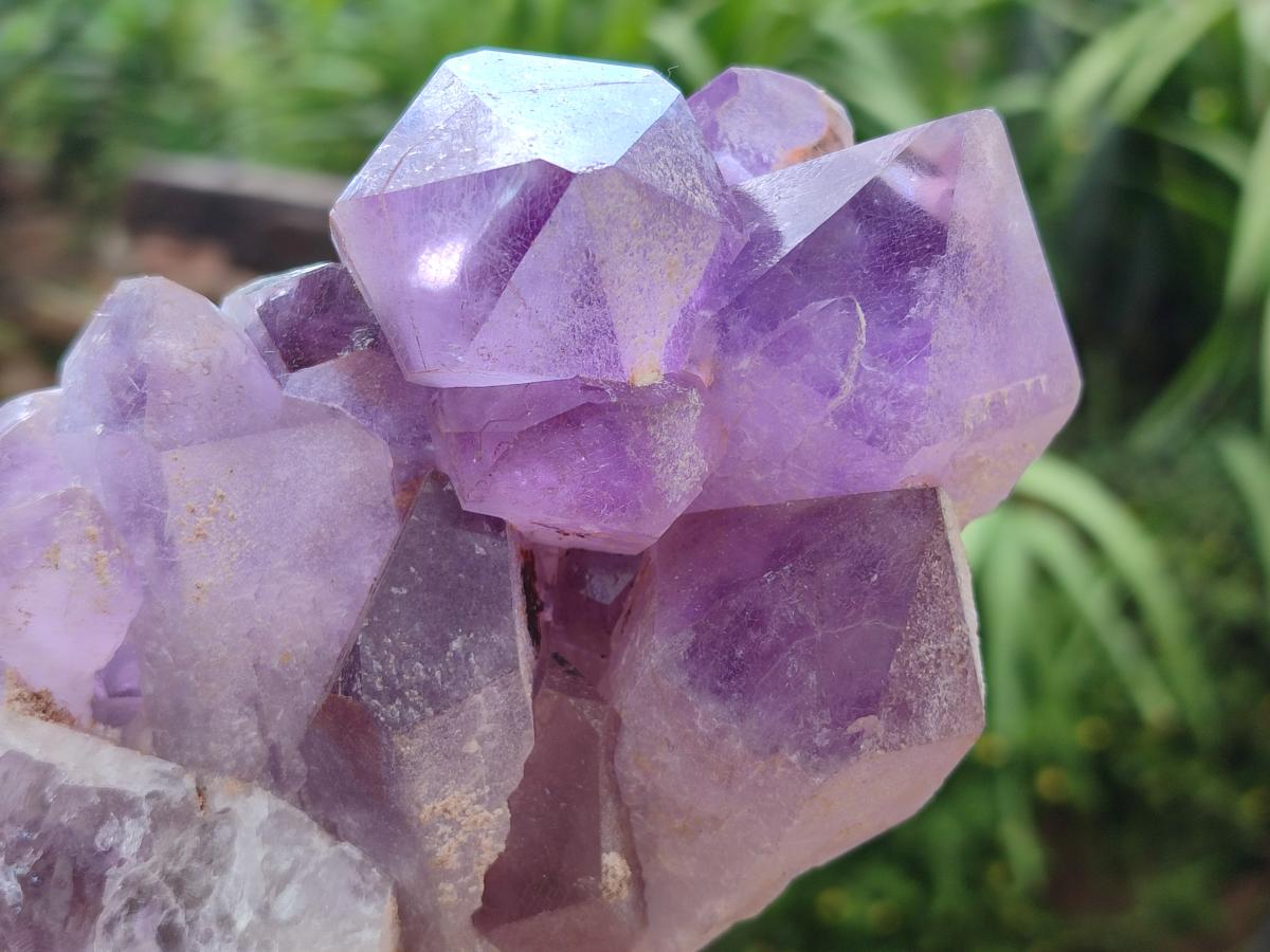 Natural Jacaranda Amethyst Crystal Clusters x 2 From Mumbwa, Zambia