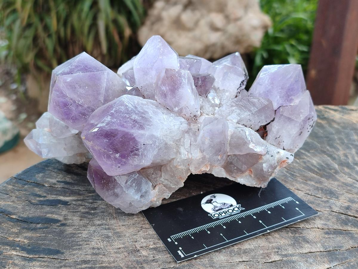 Natural Jacaranda Amethyst Crystal Clusters x 2 From Mumbwa, Zambia