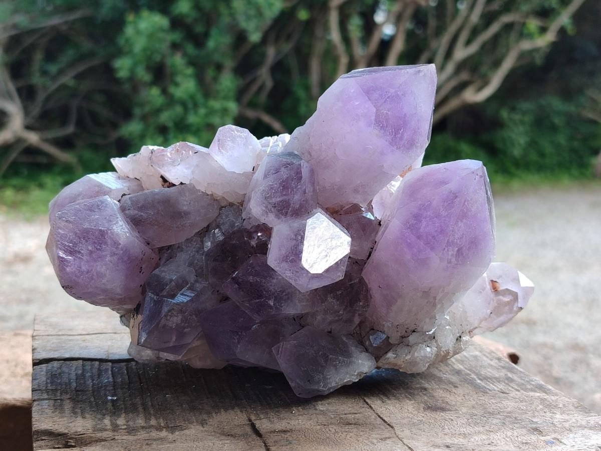 Natural Jacaranda Amethyst Crystal Clusters x 2 From Mumbwa, Zambia