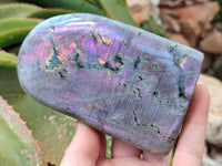 Polished Labradorite Standing Free Forms x 2 From Tulear, Madagascar