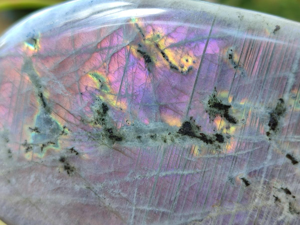 Polished Labradorite Standing Free Forms x 2 From Tulear, Madagascar