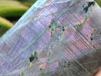 Polished Labradorite Standing Free Forms x 2 From Tulear, Madagascar