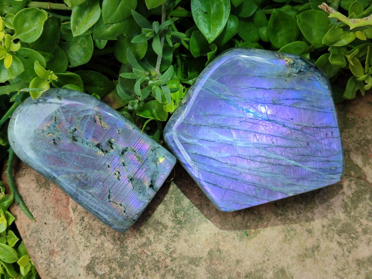 Polished Labradorite Standing Free Forms x 2 From Tulear, Madagascar