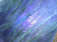 Polished Labradorite Standing Free Forms x 2 From Tulear, Madagascar