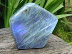 Polished Labradorite Standing Free Forms x 2 From Tulear, Madagascar